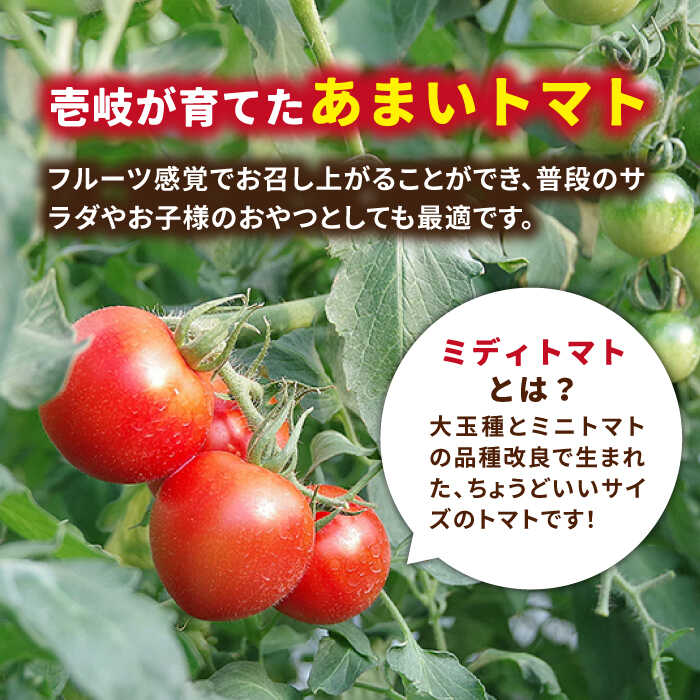【ふるさと納税】あま壱岐 ミディトマト 約48粒 《壱岐市》【壱岐の潮風】 [JAE009] トマト ミディトマト 野菜 ギフト プレゼント 贈り物 15000 15000円 - 画像2