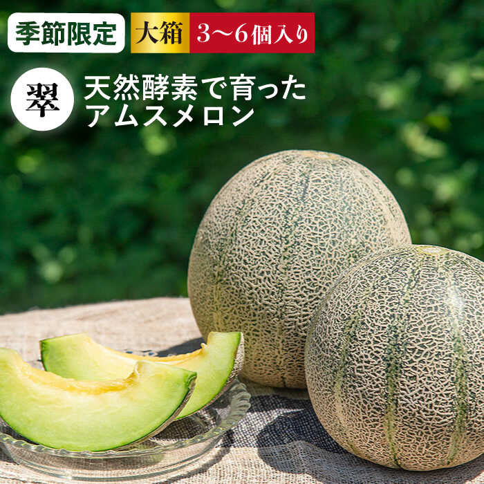 【先行予約】アムスメロン「翠」 3〜6玉（大箱）【2026年6月中旬以降順次発送】《壱岐市》【フレッシュメイト壱岐】[JAZ005] メロン めろん アムスメロン 果物 くだもの 果実 フルーツ デザート ギフト 贈答 プレゼント 20000 20000円
