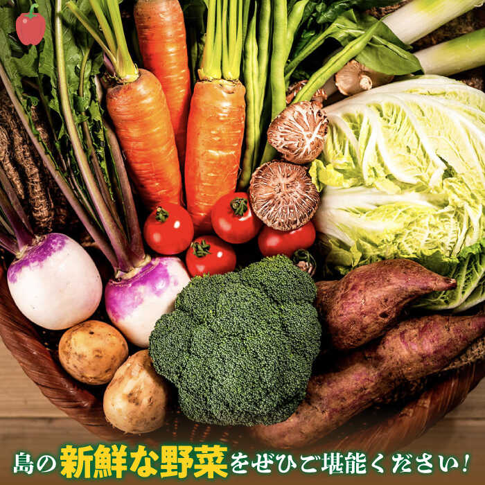 【ふるさと納税】【全2回定期便】旬の野菜セット 7品《壱岐市》【壱岐市農業協同組合】[JBO131] 季節 健康 栄養 やさい 詰め合わせ 20000 20000円 2万円 - 画像3