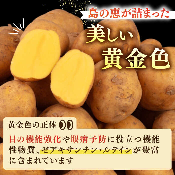 【ふるさと納税】【先行予約】壱岐黄金じゃがいも 5kg【2026年7月中に発送】《壱岐市》【壱岐市農業協同組合】[JBO139] じゃがいも ジャガイモ ポテト 野菜 季節の野菜 夏野菜 冬野菜 11000 11000円 - 画像3