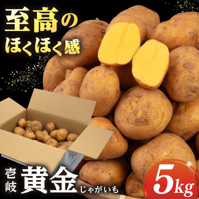 【先行予約】壱岐黄金じゃがいも 5kg【2026年7月中に発送】《壱岐市》【壱岐市農業協同組合】[JBO139] じゃがいも ジャガイモ ポテト 野菜 季節の野菜 夏野菜 冬野菜 11000 11000円