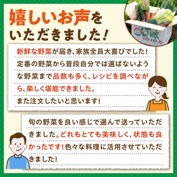 【ふるさと納税】旬の野菜 7品セット 《壱岐市》【壱岐市農業協同組合】[JBO001] 野菜 ベジタブル 食材 詰め合わせ 産地直送 野菜セット グルメ 春 夏 秋 冬 旬 サラダ 冷蔵 夏野菜 スムージー 10000 10000円 冷蔵配送 サムネイル3