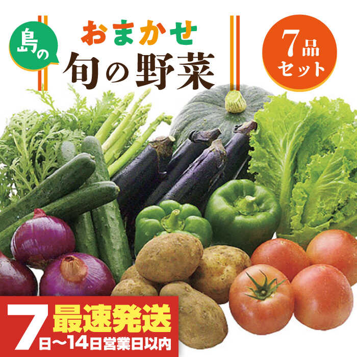 旬の野菜 7品セット 《壱岐市》【壱岐市農業協同組合】[JBO001] 野菜 ベジタブル 食材 詰め合わせ 産地直送 野菜セット グルメ 春 夏 秋 冬 旬 サラダ 冷蔵 夏野菜 スムージー 10000 10000円 冷蔵配送