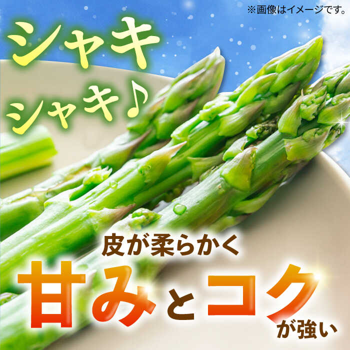 【ふるさと納税】壱岐産 アスパラガス 1kg（L~2Lサイズ）《壱岐市》【壱岐市農業協同組合】[JBO004] 野菜 旬 春野菜 夏野菜 新鮮 産地直送 アスパラ 冷蔵配送 夏野菜 春野菜 季節の野菜 グリーンアスパラガス 13000 13000円 - 画像2