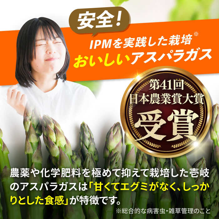 【ふるさと納税】壱岐産 アスパラガス 1kg（L~2Lサイズ）《壱岐市》【壱岐市農業協同組合】[JBO004] 野菜 旬 春野菜 夏野菜 新鮮 産地直送 アスパラ 冷蔵配送 夏野菜 春野菜 季節の野菜 グリーンアスパラガス 13000 13000円 - 画像3