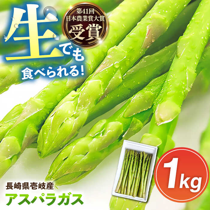 壱岐産 アスパラガス 1kg（L~2Lサイズ）《壱岐市》【壱岐市農業協同組合】[JBO004] 野菜 旬 春野菜 夏野菜 新鮮 産地直送 アスパラ 冷蔵配送 夏野菜 春野菜 季節の野菜 グリーンアスパラガス 13000 13000円