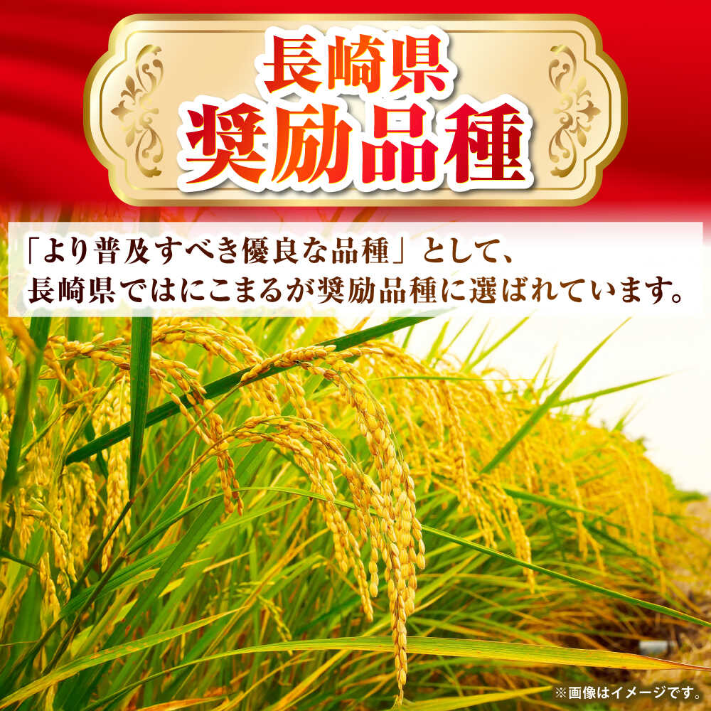 【ふるさと納税】壱岐産 にこまる 5kg《壱岐市》【壱岐市農業協同組合】[JBO023] 米 お米 ご飯 ごはん 白米 5キロ 特A 15000 15000円 - 画像3