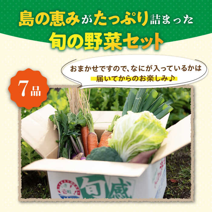 【ふるさと納税】【全3回定期便】旬の野菜 7品《壱岐市》【壱岐市農業協同組合】 [JBO044] 野菜 やさい 旬 季節 セット 詰め合わせ 産地直送 新鮮 サラダ スムージー 定期便 30000 30000円 冷蔵配送 サムネイル2
