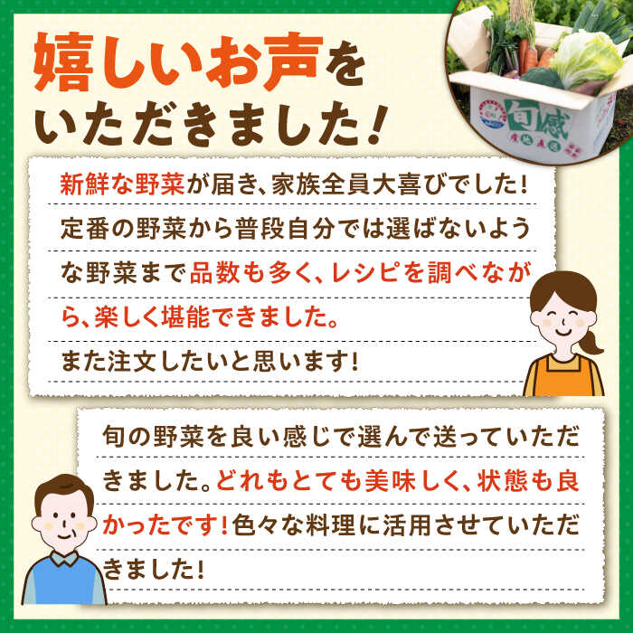 【ふるさと納税】【全3回定期便】旬の野菜 7品《壱岐市》【壱岐市農業協同組合】 [JBO044] 野菜 やさい 旬 季節 セット 詰め合わせ 産地直送 新鮮 サラダ スムージー 定期便 30000 30000円 冷蔵配送 サムネイル3