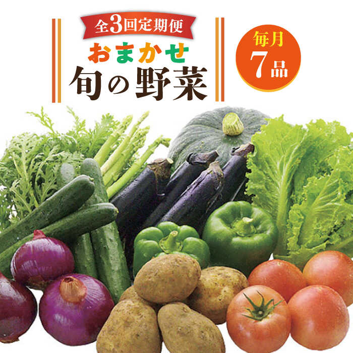 【全3回定期便】旬の野菜 7品《壱岐市》【壱岐市農業協同組合】 [JBO044] 野菜 やさい 旬 季節 セット 詰め合わせ 産地直送 新鮮 サラダ スムージー 定期便 30000 30000円 冷蔵配送