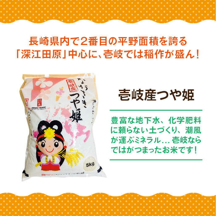 【ふるさと納税】【全3回定期便】壱岐産 つや姫 5kg《壱岐市》【壱岐市農業協同組合】 [JBO056] 米 お米 白米 ご飯 ごはん 5キロ お弁当 朝食 定期便 51000 51000円 - 画像2