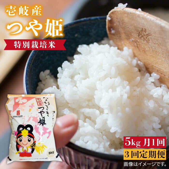 【全3回定期便】壱岐産 つや姫 5kg《壱岐市》【壱岐市農業協同組合】 [JBO056] 米 お米 白米 ご飯 ごはん 5キロ お弁当 朝食 定期便 51000 51000円