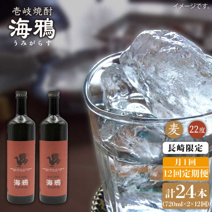 【全12回定期便】海鴉25度720ml 2本入りセット [JDB112] お酒 むぎ焼酎 壱岐焼酎 本格焼酎 熟成 飲み比べ 192000 192000円