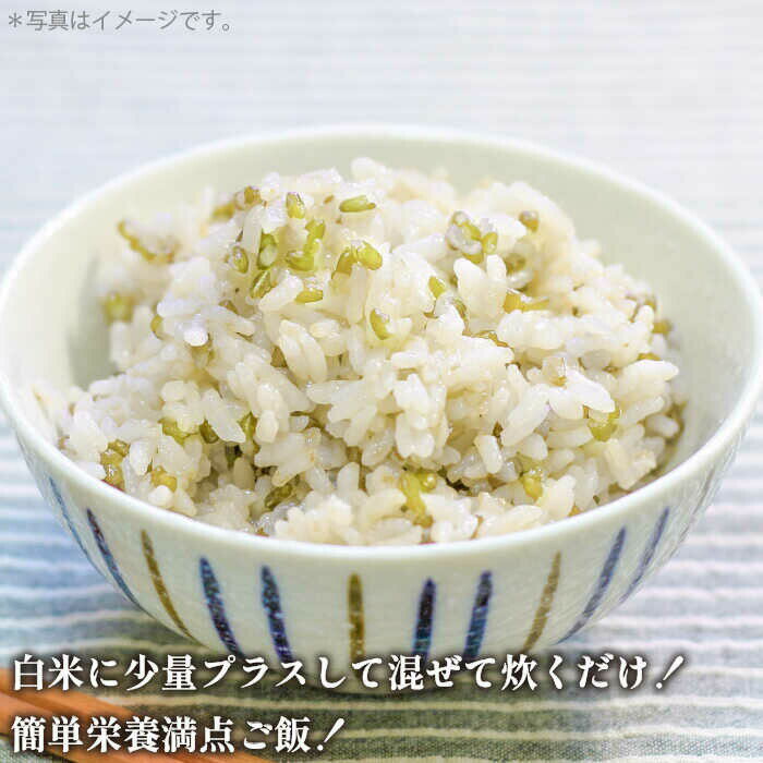 【ふるさと納税】古代米 緑米 3kg （1kg入り × 3袋）壱岐島の古代米 原の辻遺跡《壱岐市》【天下御免】 [JDB124] 15000 15000円 - 画像2