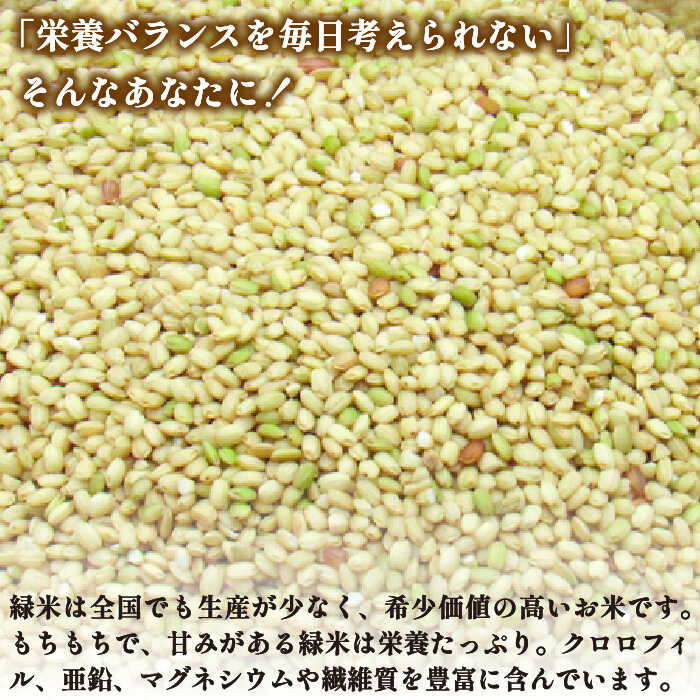 【ふるさと納税】古代米 緑米 3kg （1kg入り × 3袋）壱岐島の古代米 原の辻遺跡《壱岐市》【天下御免】 [JDB124] 15000 15000円 - 画像3