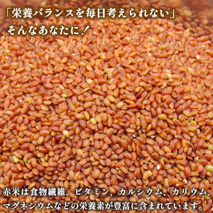 【ふるさと納税】古代米 黒米 赤米 緑米 計3kg (3種各1kg) 原の辻遺跡 《壱岐市》【天下御免】 [JDB126] 17000 17000円 - 画像3
