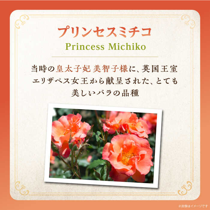 【ふるさと納税】【先行予約】純米大吟醸 Princess Michiko 720ml（16度）【2024年11月以降順次発送】《壱岐市》【天下御免】 横山蔵 重家酒造 日本酒 酒 お酒 純米 大吟醸 大吟醸酒 16000 16000円[JDB359] サムネイル2