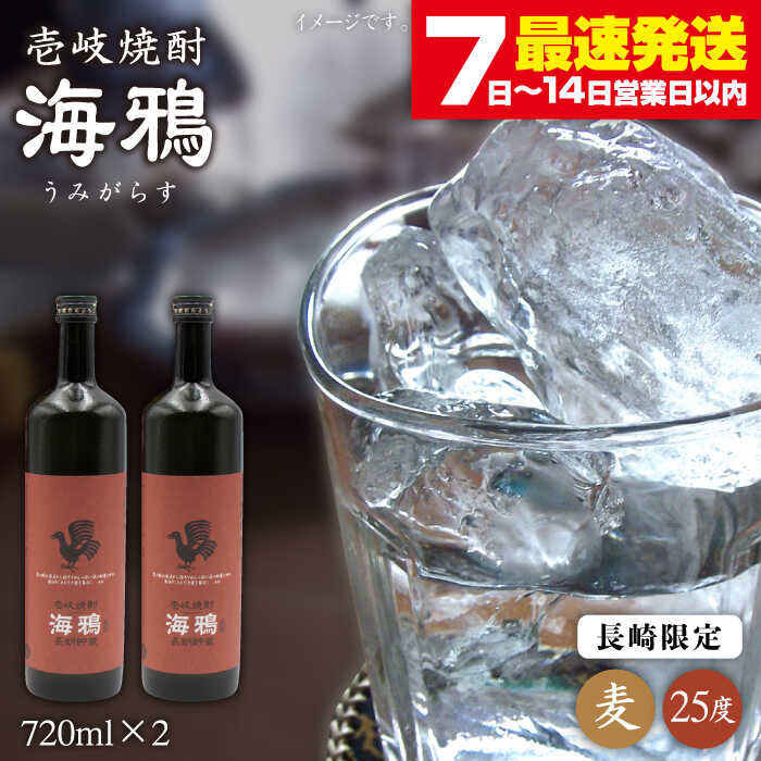 【年内発送】麦焼酎 海鴉 720ml×2本（25度）《壱岐市》【天下御免】[JDB034] 焼酎 壱岐焼酎 むぎ焼酎 本格焼酎 お酒 熟成 ギフト プレゼント 地酒 飲み比べ セット 16000 16000円