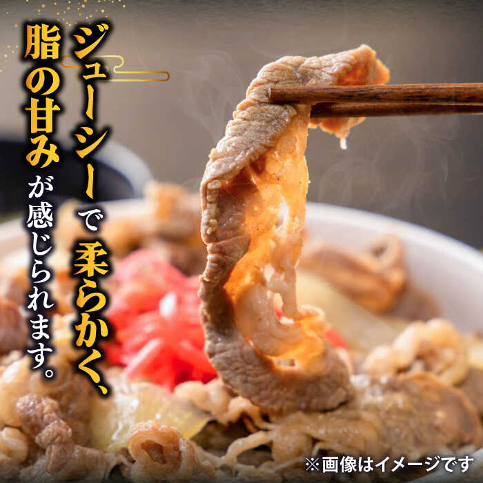 【ふるさと納税】【黒毛和牛】 壱岐牛 A5ランク 切り落とし 500g | 国産牛 牛肉 肉 お肉 和牛 ブランド牛 霜降り 赤身 ギフト 贈答 《壱岐市》【土肥増商店】[JDD002] サムネイル2