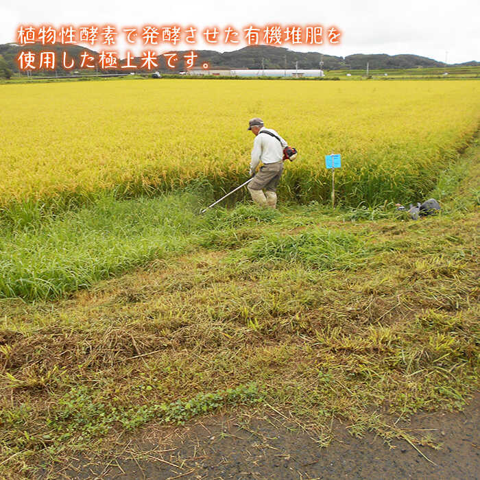 【ふるさと納税】酵素米 なつほのか 5kg 《壱岐市》【農事組合法人 原の辻】[JDG001] 米 白米 精米 ご飯 ごはん お弁当 朝食 5キロ 17000 17000円 - 画像3