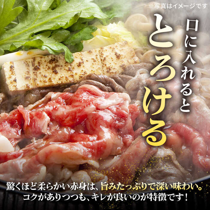 【ふるさと納税】特選 壱岐牛 切り落とし 450g / 900g【選べる内容量】【太陽商事】 [JDL001] 冷凍配送 黒毛和牛 A5ランク 牛肉 切り落とし 切落し 切り落し すき焼き しゃぶしゃぶ 赤身 うす切り 薄切り 鍋 肉じゃが 煮物 牛丼 すき焼用 サムネイル2