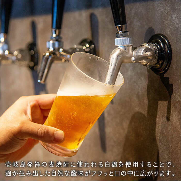 【ふるさと納税】【全3回定期便】クラフトビール GOLDEN ALE 6本【ISLAND BREWERY】 [JED009] ビール お酒 飲み比べ セット 瓶ビール 飲みくらべ 51000 51000円 冷蔵配送 サムネイル2