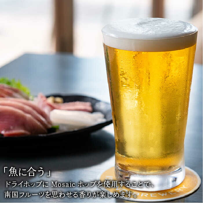 【ふるさと納税】【全12回定期便】クラフトビール IPA 6本【ISLAND BREWERY】 [JED014] ビール お酒 飲み比べ セット 瓶ビール 飲みくらべ 204000 204000円 冷蔵配送 サムネイル3