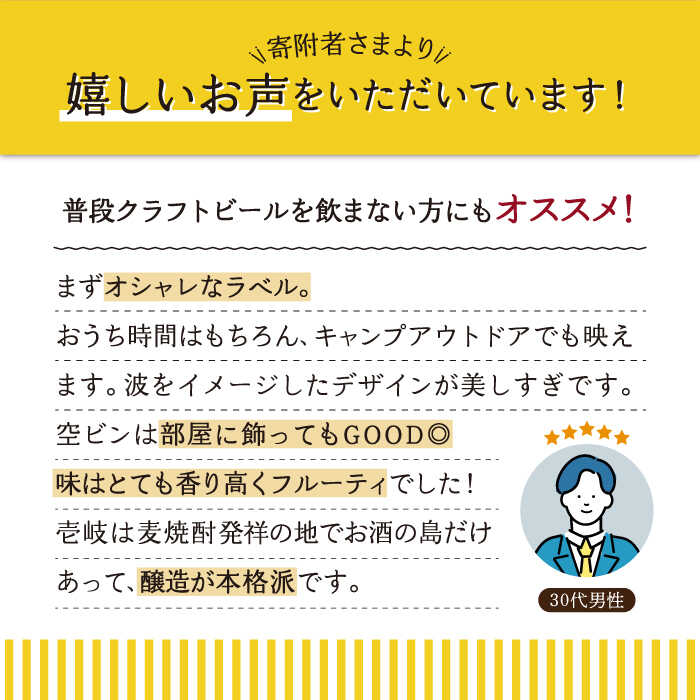 【ふるさと納税】【全12回 定期便 】クラフトビール 地ビール 24本詰め合わせ（3種類×8本）【ISLAND BREWERY】 《 壱岐市 》[JED032] 660000 660000円 冷蔵配送 サムネイル3