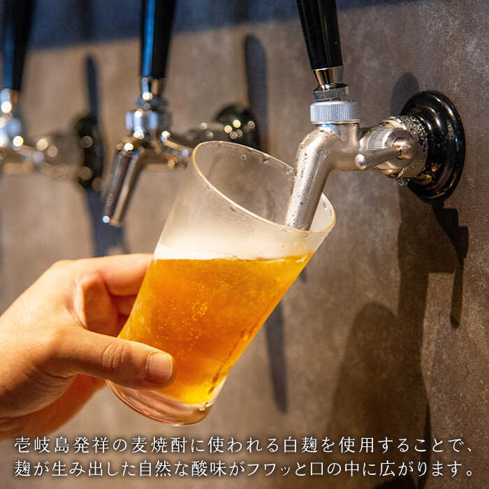 【ふるさと納税】【全2回定期便】クラフトビール GOLDEN ALE 6本【ISLAND BREWERY】《壱岐市》【原田酒造有限会社】ビール 酒 beer 魚に合う アルコール[JED037] サムネイル2