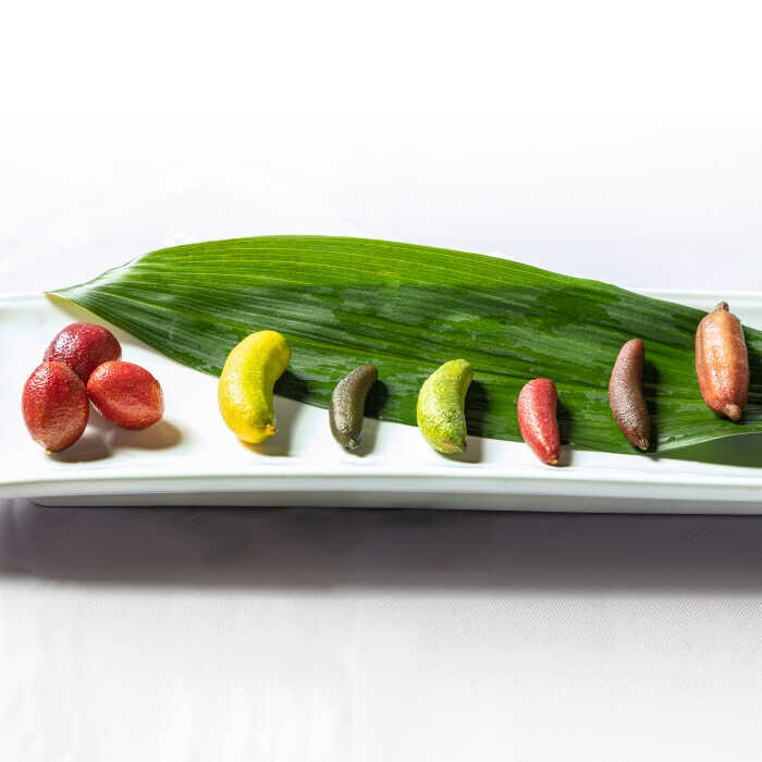 【ふるさと納税】【先行予約】フィンガーライム 50g《壱岐市》【梛ファーム】 [JEJ001] ライム フルーツ 果物 新鮮 18000 18000円 冷蔵配送 サムネイル2