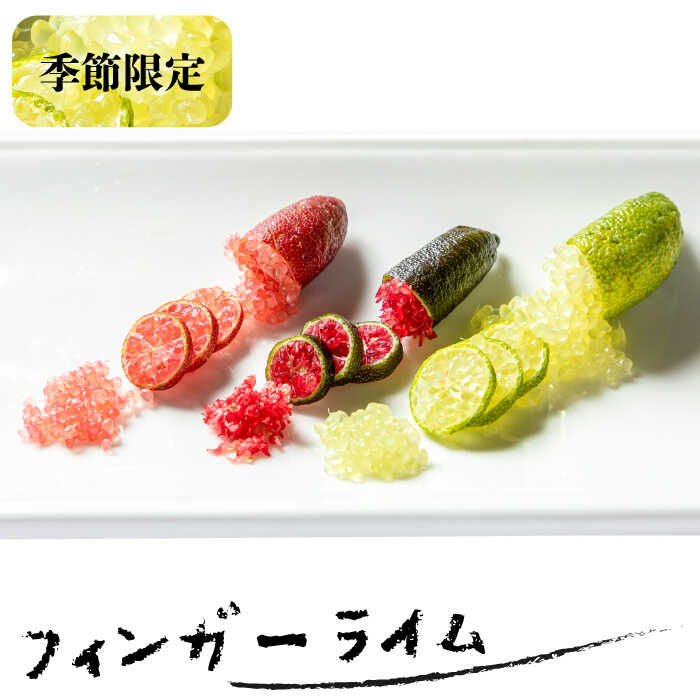 【先行予約】フィンガーライム 50g《壱岐市》【梛ファーム】 [JEJ001] ライム フルーツ 果物 新鮮 18000 18000円 冷蔵配送