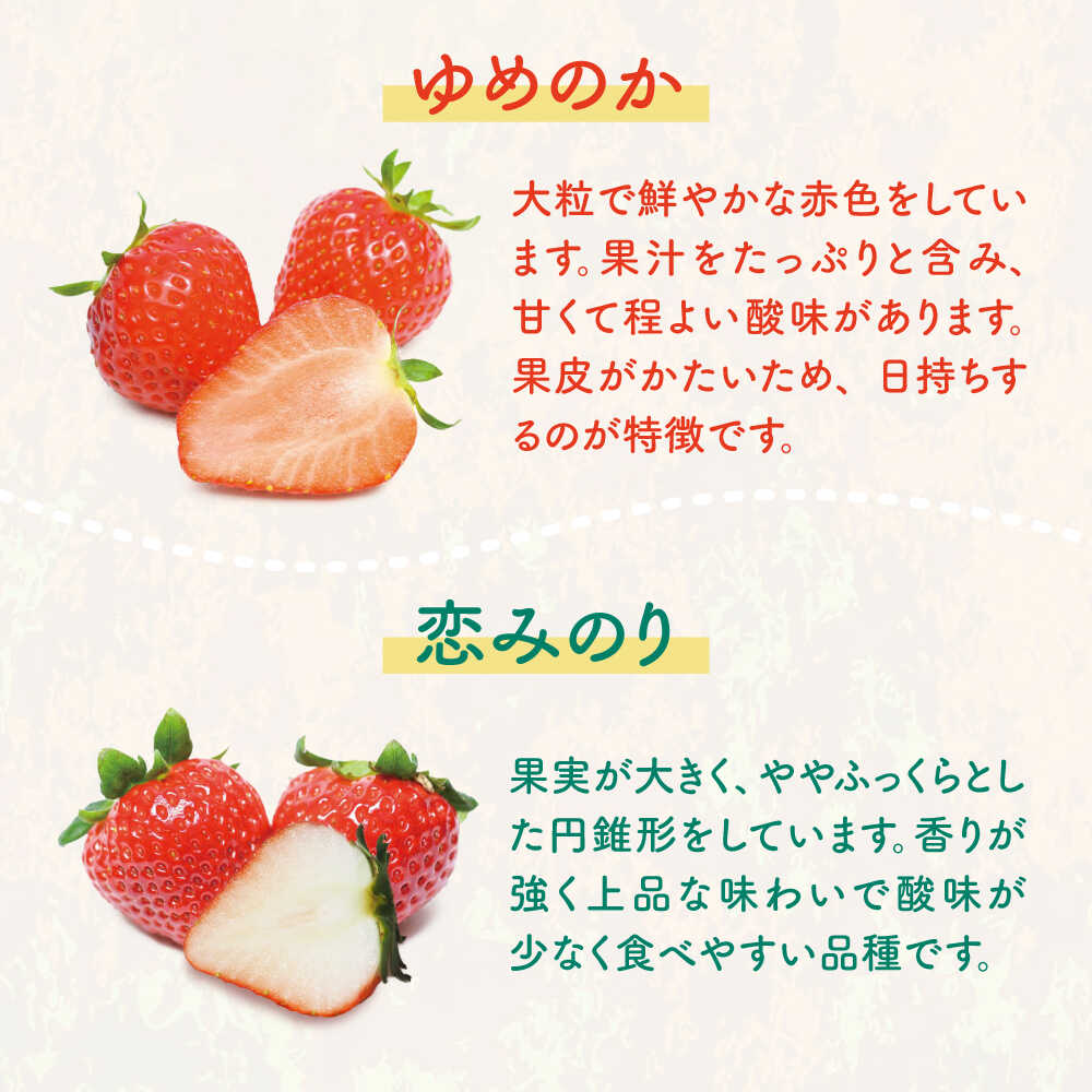 【ふるさと納税】ゆめ恋セット（ゆめのか・恋みのり）計1kg《壱岐市》【蒼花】[JEO001] いちご イチゴ 苺 フルーツ 果物 スムージー ジャム ゆめのか 恋みのり セット 食べ比べ 小分け 冷蔵 あまおう 15000 15000円 冷蔵配送 - 画像2