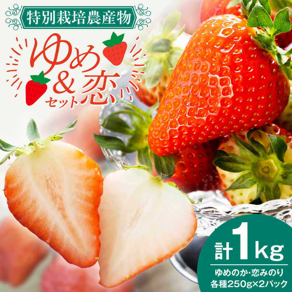 ゆめ恋セット（ゆめのか・恋みのり）計1kg《壱岐市》【蒼花】[JEO001] いちご イチゴ 苺 フルーツ 果物 スムージー ジャム ゆめのか 恋みのり セット 食べ比べ 小分け 冷蔵 あまおう 15000 15000円 冷蔵配送