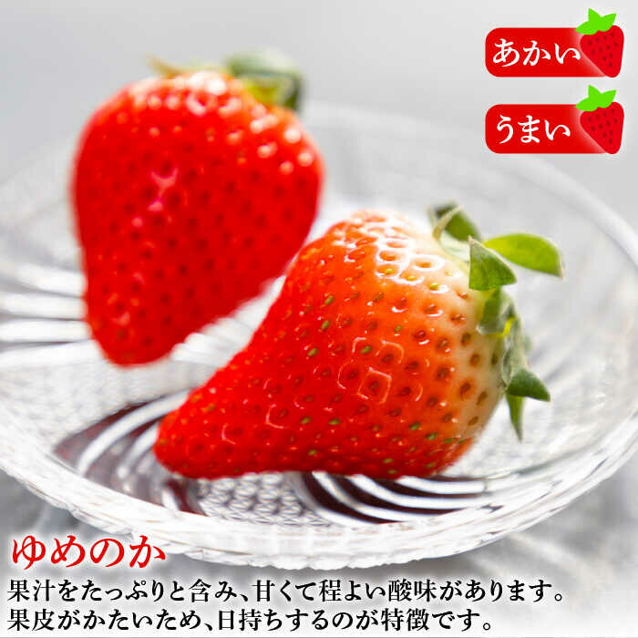 【ふるさと納税】【先行予約】お徳用 バラ詰め イチゴ 1kg （ゆめのか・恋みのり）【2026年2月以降順次発送】《壱岐市》【蒼花】[JEO002] いちご イチゴ 苺 フルーツ 果物 スムージー ジャム ゆめのか 恋みのり セット 食べ比べ 冷蔵 訳あり 10000 10000円 冷蔵配送 サムネイル2