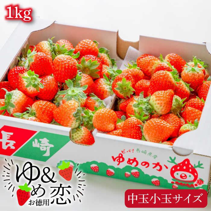 【先行予約】お徳用 バラ詰め イチゴ 1kg （ゆめのか・恋みのり）【2026年2月以降順次発送】《壱岐市》【蒼花】[JEO002] いちご イチゴ 苺 フルーツ 果物 スムージー ジャム ゆめのか 恋みのり セット 食べ比べ 冷蔵 訳あり 10000 10000円 冷蔵配送