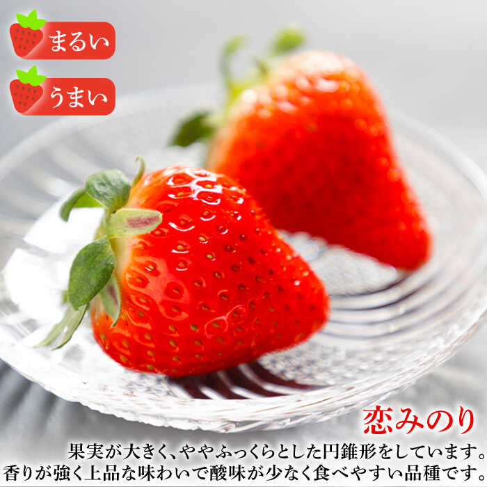 【ふるさと納税】【先行予約】【全3回定期便】お徳用 バラ詰め イチゴ 1kg （ゆめのか・恋みのり）【2026年2月以降順次発送】《壱岐市》【蒼花】 [JEO004] いちご イチゴ 苺 フルーツ 果物 スムージー ジャム ゆめのか 恋みのり 冷蔵 訳あり ではない 30000 30000円 サムネイル3