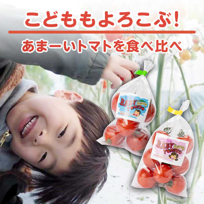 【ふるさと納税】ミディアムトマト 2種 （フルティカ・シンディースイート） 計8袋《壱岐市》【ISLAND FARM】[JFL001] トマト 生鮮 野菜 食べ比べ 13000 13000円 1万 冷蔵配送 - 画像2