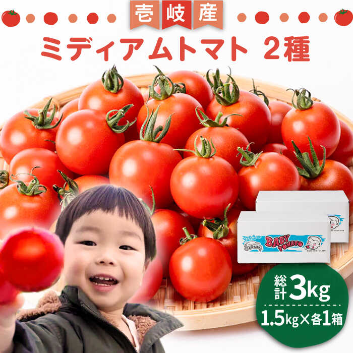 ミディアムトマト 2種 （フルティカ・シンディースイート） 計3kg《壱岐市》【ISLAND FARM】[JFL002] トマト 生鮮 野菜 食べ比べ 22000 22000円 冷蔵配送