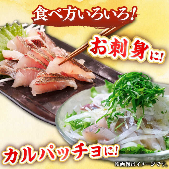 【ふるさと納税】刺身 小分け 5パック《壱岐市》【あかりや】 冷凍配送 刺身 小分け 産地直送 お刺身 刺し身 寿司 海鮮 [JFO003] 10000 1万 1万円 - 画像3