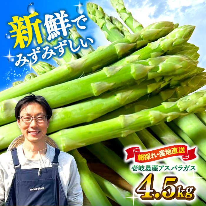 【アスパラガス専門農家が作る！】壱岐産アスパラガス4.5kg《壱岐市》【きたじま農園】 国産 冷蔵配送 産地直送 朝採れ 新鮮[JGI001]
