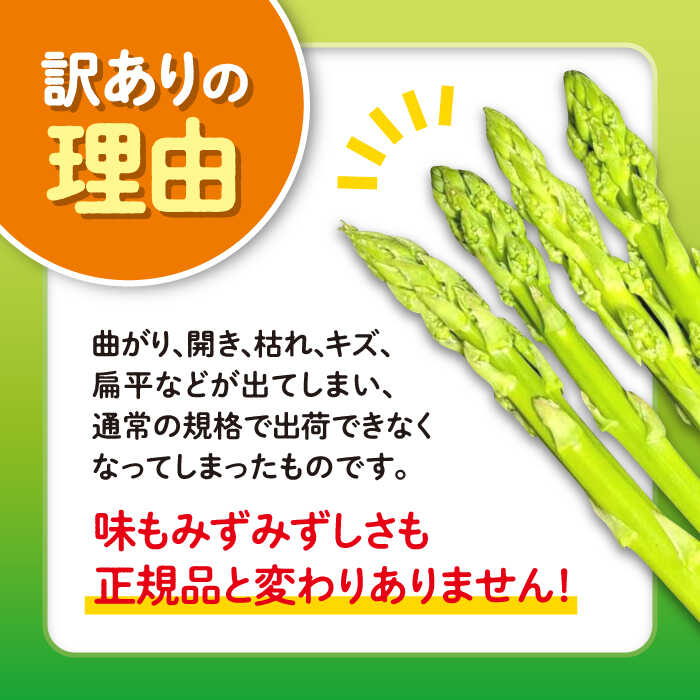 【ふるさと納税】【先行予約】【アスパラガス専門農家が作る！】壱岐産 訳アリ アスパラガス1.5kg【2026年3月以降順次発送】≪壱岐市≫【きたじま農園】国産 冷蔵配送 産地直送 朝採れ 新鮮[JGI005] サムネイル3