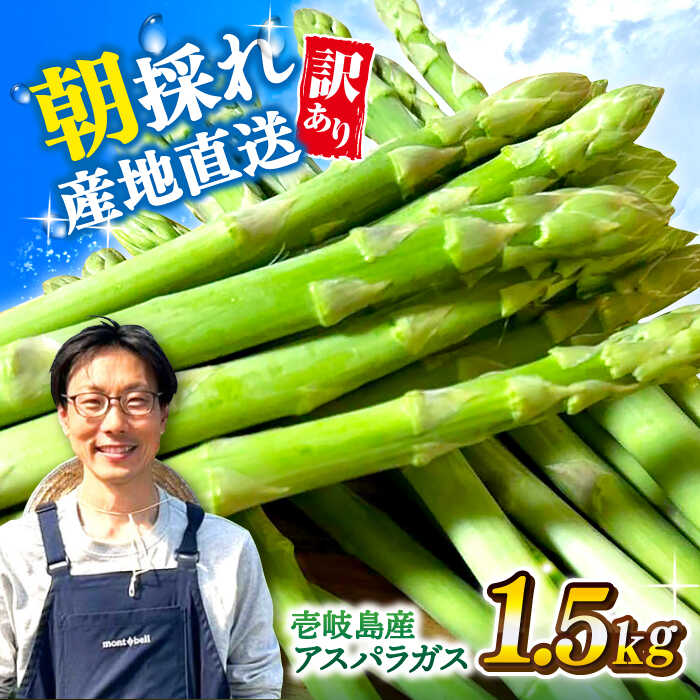 【先行予約】【アスパラガス専門農家が作る！】壱岐産 訳アリ アスパラガス1.5kg【2026年3月以降順次発送】≪壱岐市≫【きたじま農園】国産 冷蔵配送 産地直送 朝採れ 新鮮[JGI005]