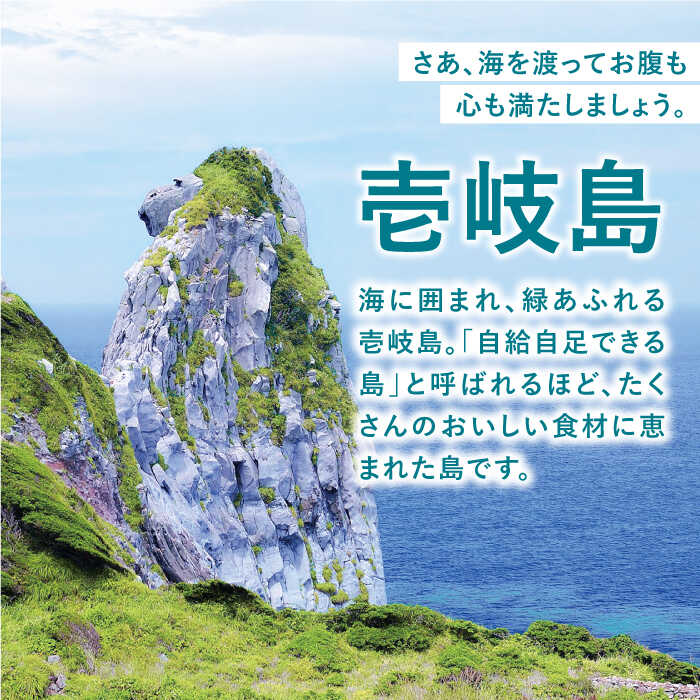 【ふるさと納税】《長崎県壱岐市》対象施設で使える楽天トラベルクーポン 寄付額50,000円 《壱岐市》[JZZ002] 九州 長崎 長崎県 壱岐 壱岐市 旅行 宿泊 観光 トラベルクーポン 50000 50000円 5万円 15000 15000円 - 画像2