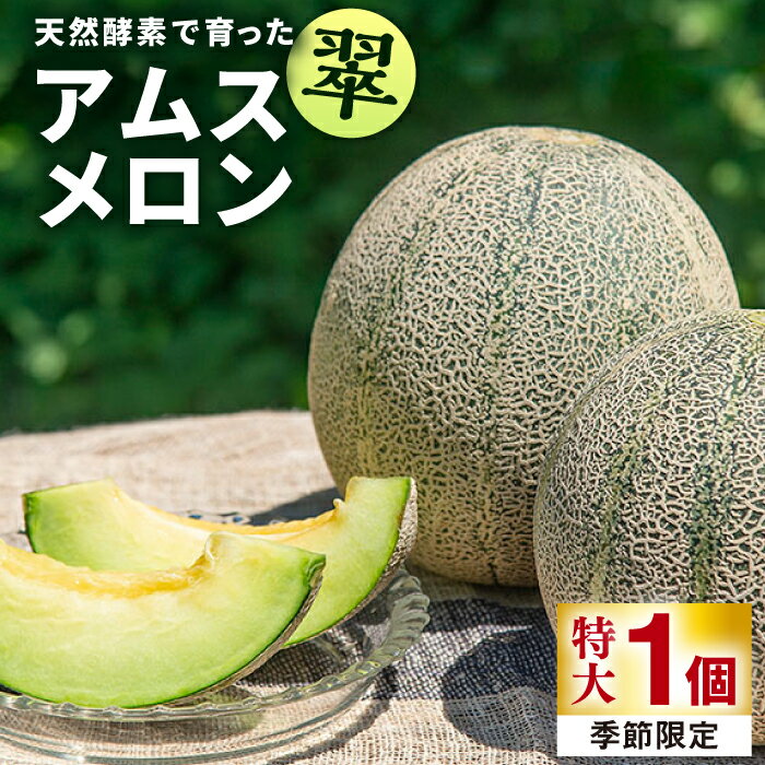 【先行予約】【贈答用】 アムスメロン「翠」 特大1個 【2026年6月中旬以降順次発送】《壱岐市》【フレッシュメイト壱岐】[JAZ006] メロン めろん 特大 大 アムスメロン 果物 くだもの 果実 フルーツ デザート ギフト 贈答 プレゼント 10000 10000円