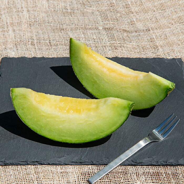 【ふるさと納税】【先行予約】【贈答用】 アムスメロン「翠」 大1個 【2026年6月中旬以降順次発送】《壱岐市》【フレッシュメイト壱岐】[JAZ007] メロン めろん 大 アムスメロン 果物 くだもの 果実 フルーツ デザート ギフト 贈答 プレゼント 8000 8000円 サムネイル3