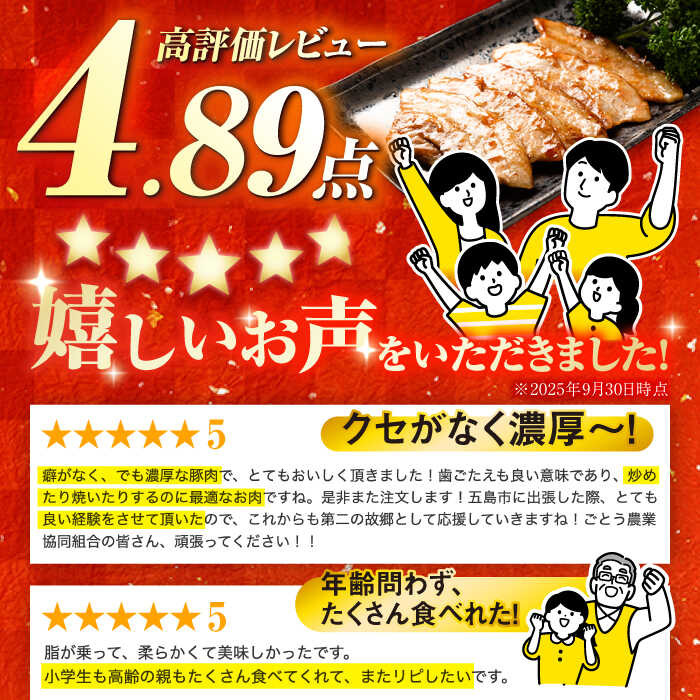 【ふるさと納税】五島美豚焼肉1kg（ロース500g バラ500g） 五島市/ごとう農業協同組合[PAF003] 国産豚 豚肉 ブランド豚 焼き肉 SPF豚 サムネイル2