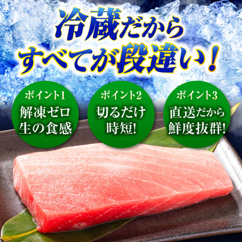 【ふるさと納税】【冷蔵】長崎県五島産 近大マグロ約500g （大トロ/中トロ/赤身） 五島市/五島ヤマフ[PAK010] まぐろ マグロ 鮪 刺身 さしみ お取り寄せ 高級 セット 海鮮 魚介 盛り合わせ 養殖 寿司 生 父の日 サムネイル2