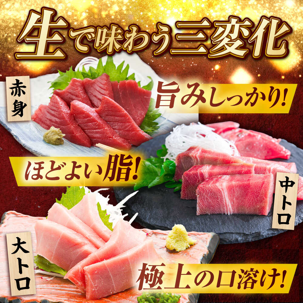 【ふるさと納税】【冷蔵】長崎県五島産 近大マグロ約500g （大トロ/中トロ/赤身） 五島市/五島ヤマフ[PAK010] まぐろ マグロ 鮪 刺身 さしみ お取り寄せ 高級 セット 海鮮 魚介 盛り合わせ 養殖 寿司 生 父の日 サムネイル3