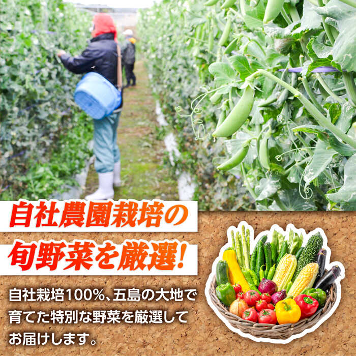 【ふるさと納税】旬の野菜セット（7-10品目10kg未満）五島市/やぁしゃ便 [PBG003] 野菜 やさい 詰め合わせ セット - 画像3