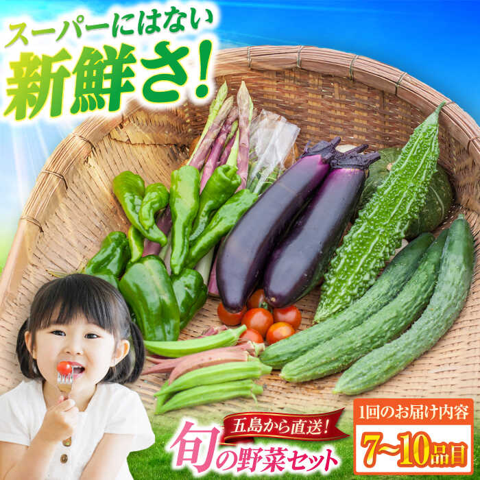 旬の野菜セット（7-10品目10kg未満）五島市/やぁしゃ便 [PBG003] 野菜 やさい 詰め合わせ セット